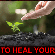 How to Heal Your Soil