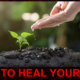 How to Heal Your Soil