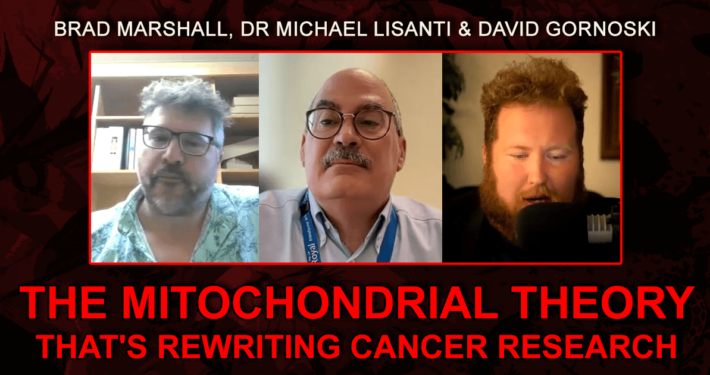 The Mitochondrial Theory That's Rewriting Cancer Research